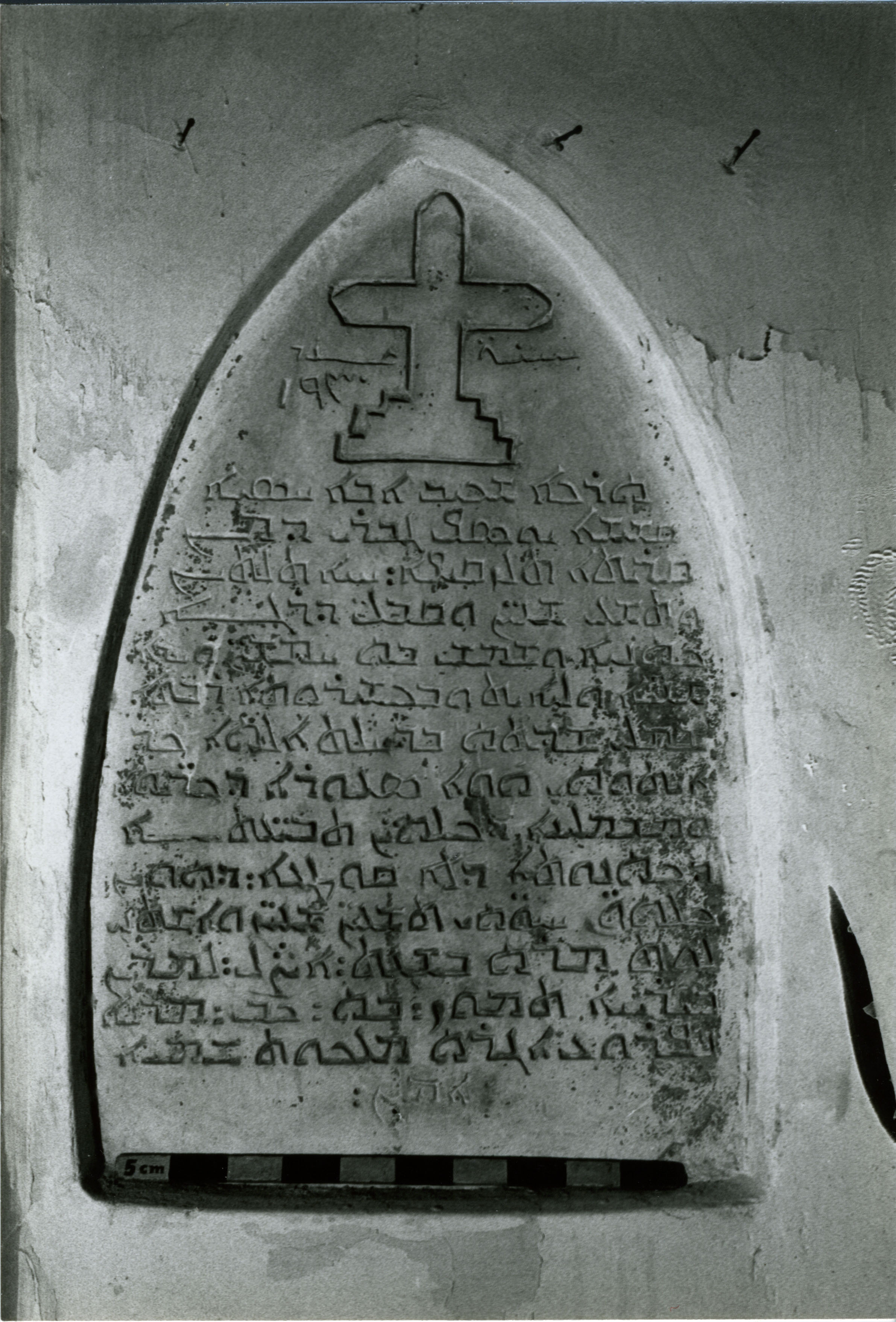 AN.01.01 image 2