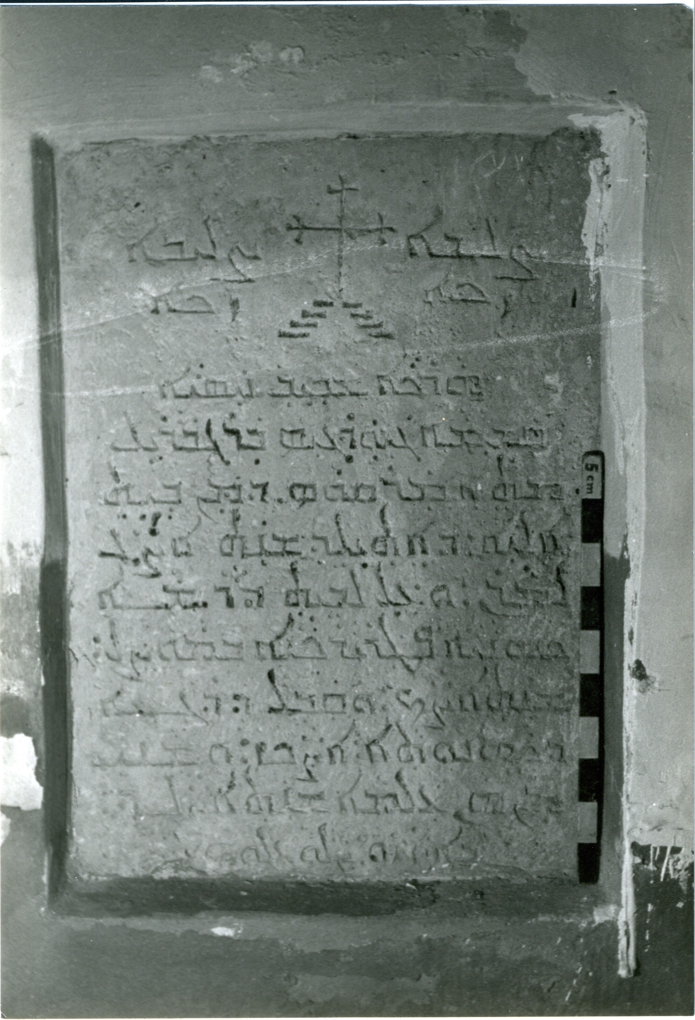 AN.01.02 image 2