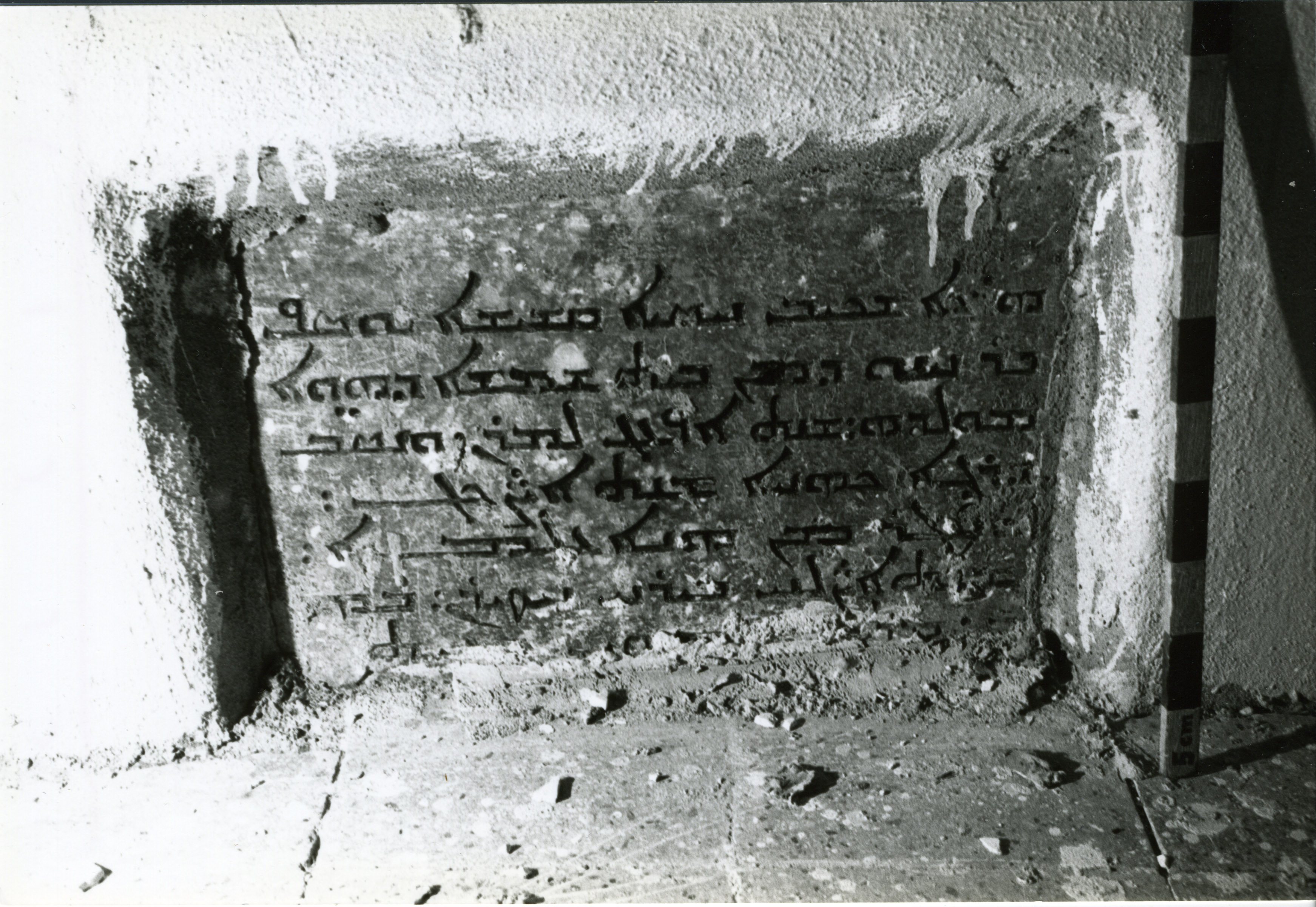 AN.02.01 image 2