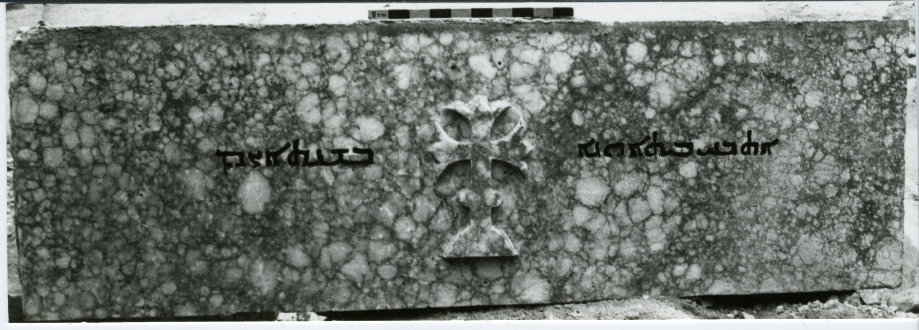 AN.02.02 image 2