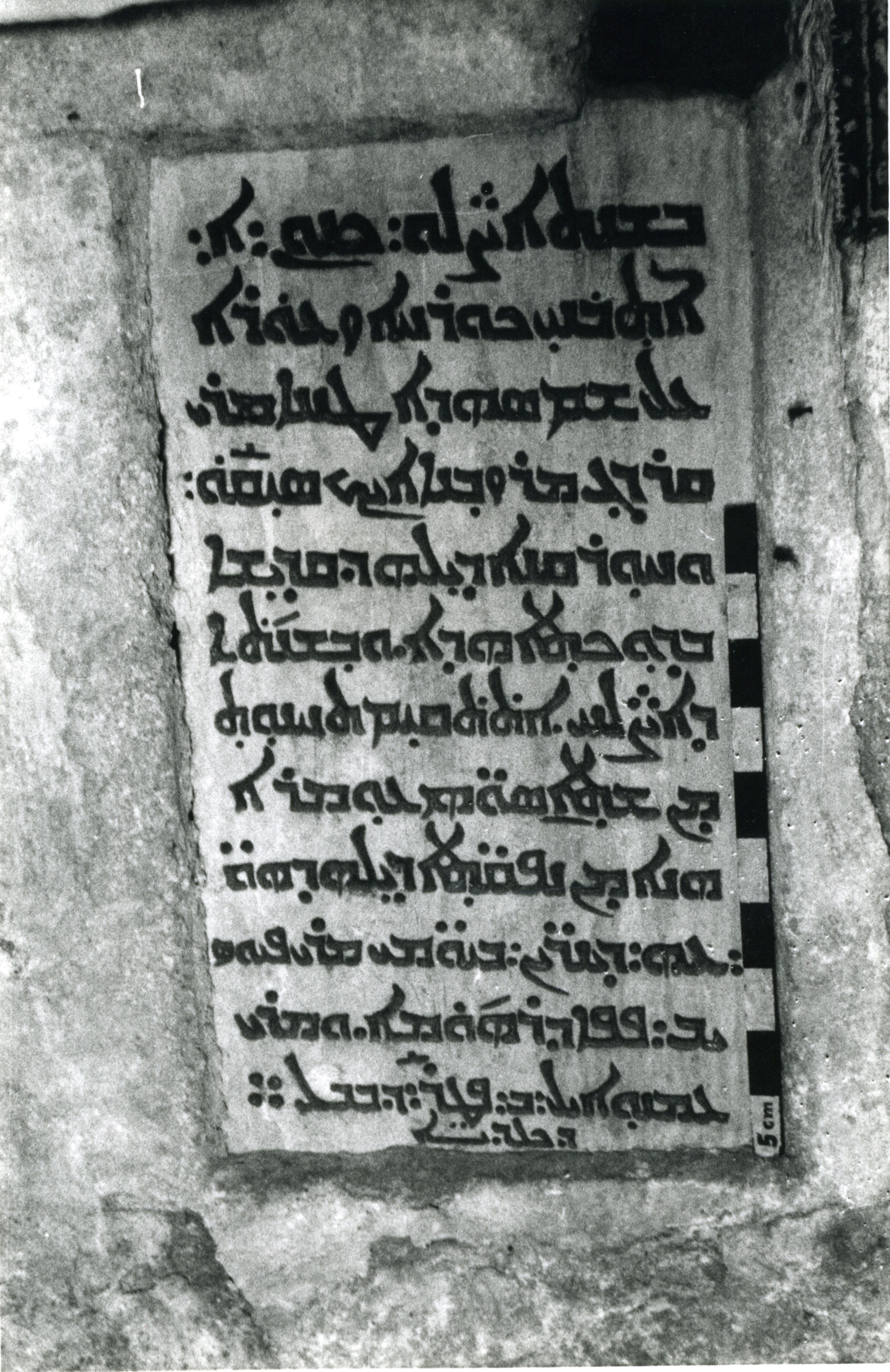 AO.04.02 image 2