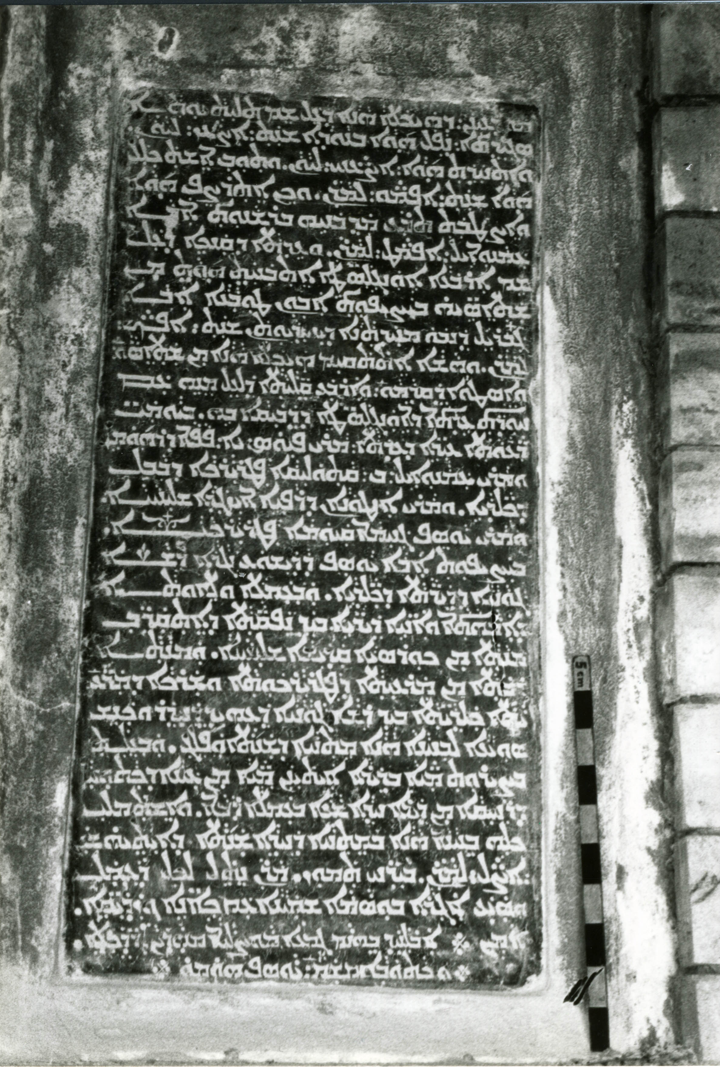 AP.01.24 image 2
