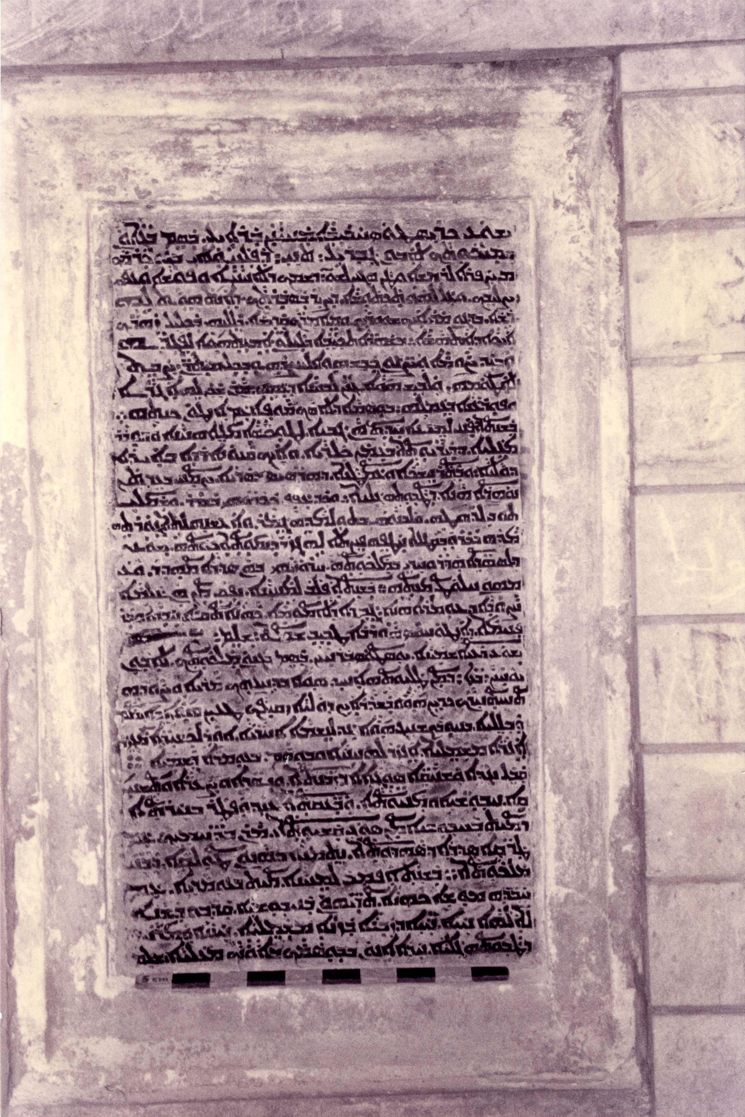 AP.01.25 image 2