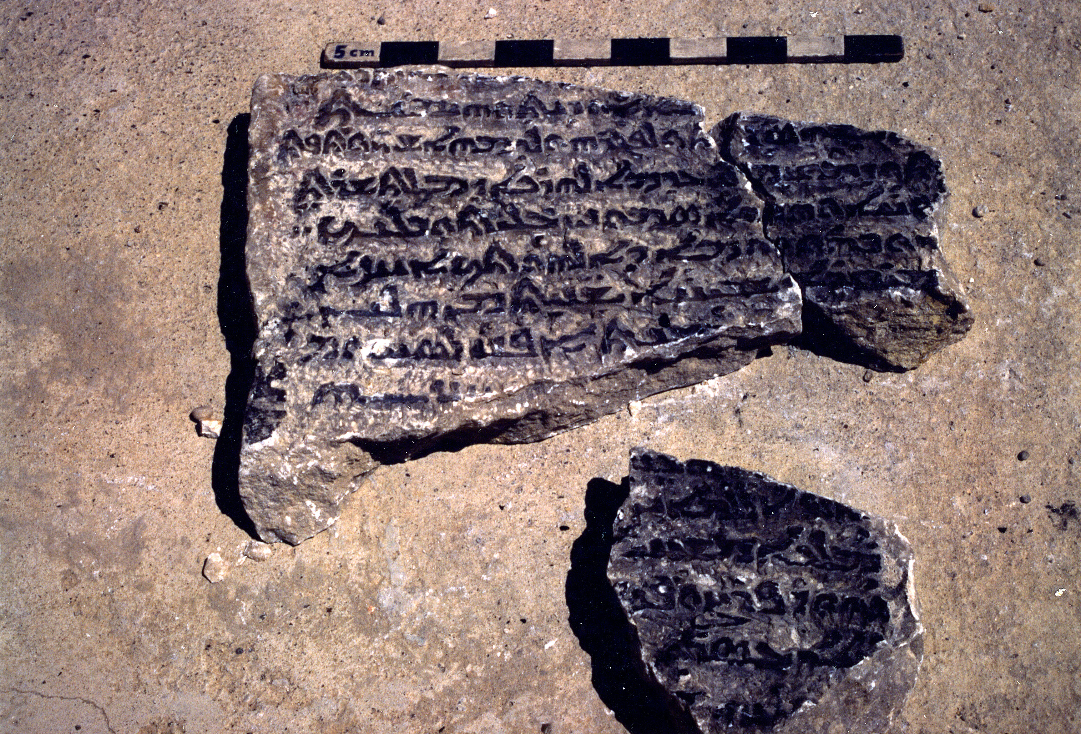 AP.01.31 image 3