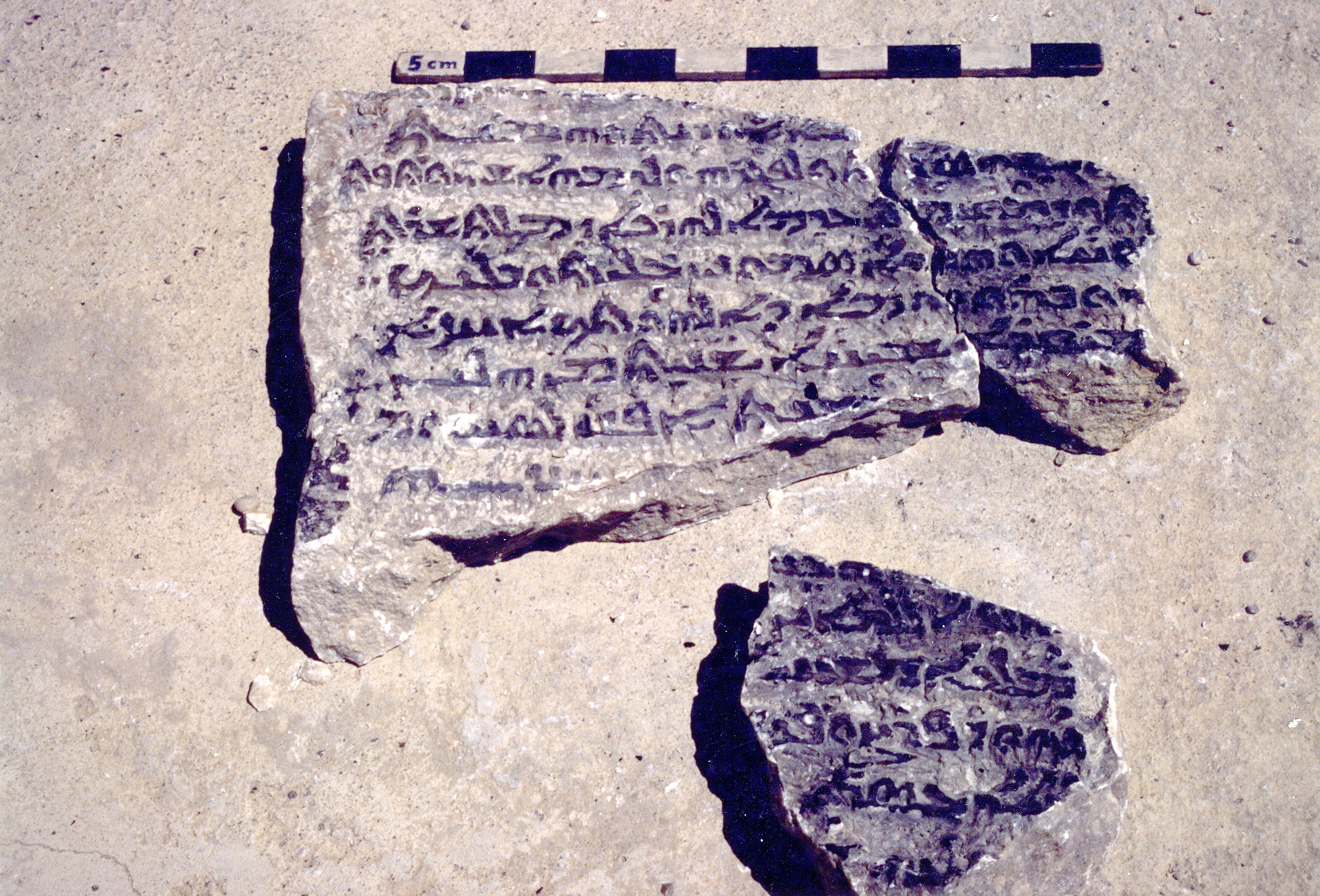 AP.01.31 image 4