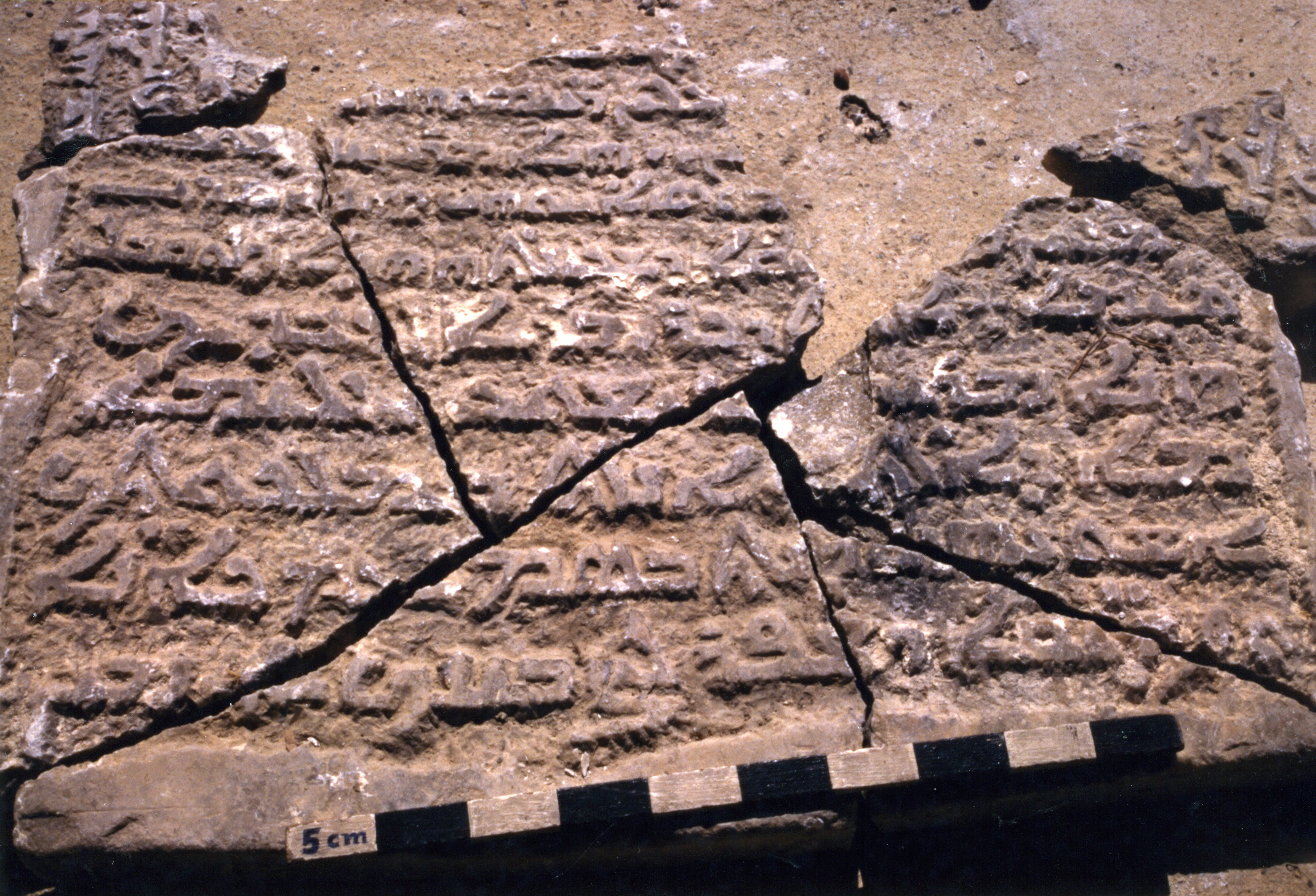 AP.01.31 image 5