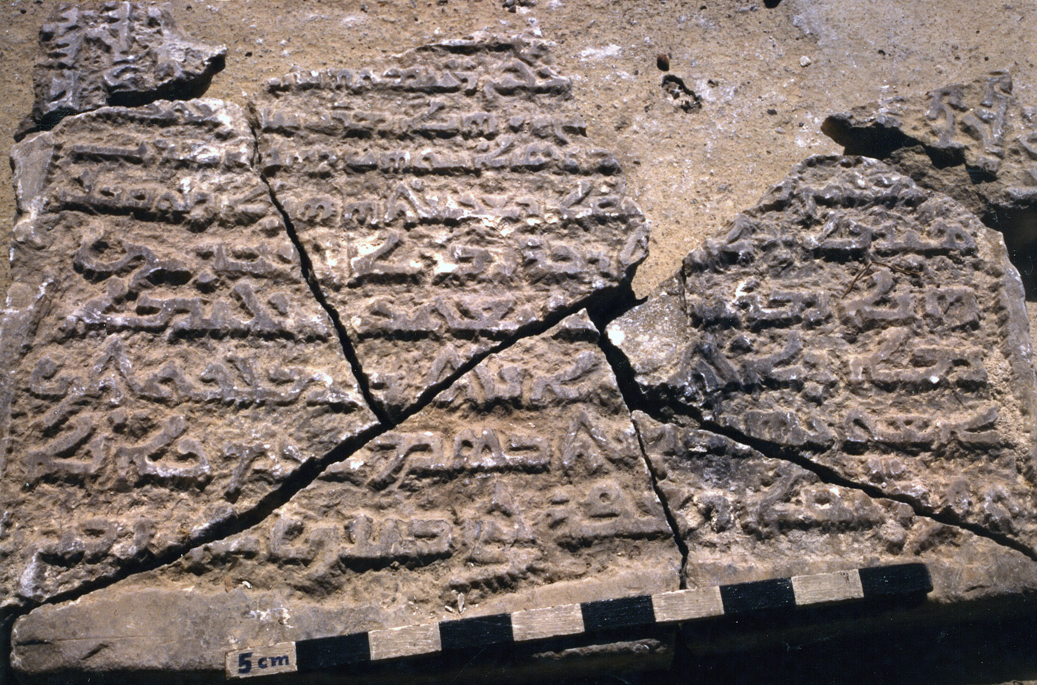 AP.01.31 image 6