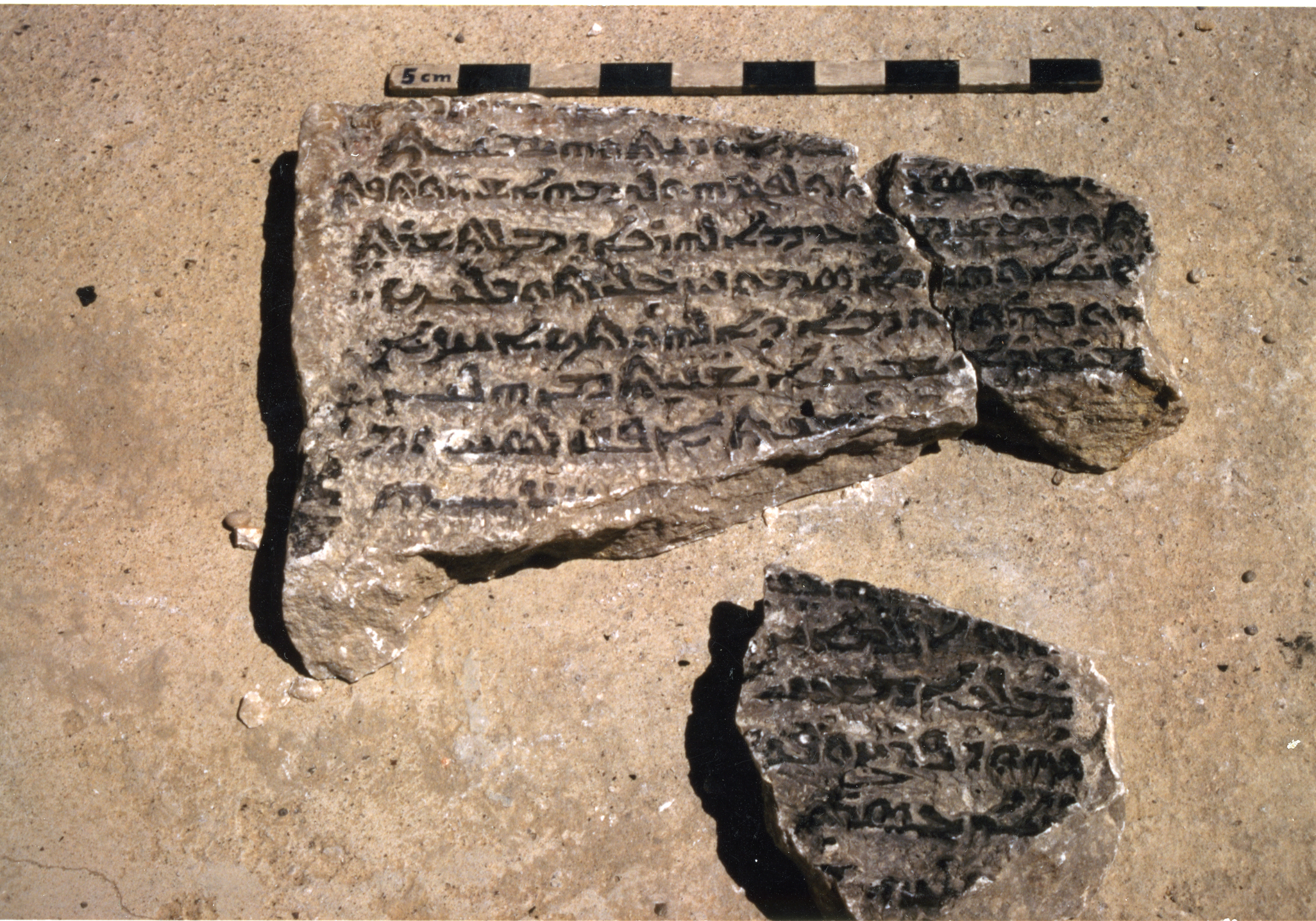 AP.01.31 image 7