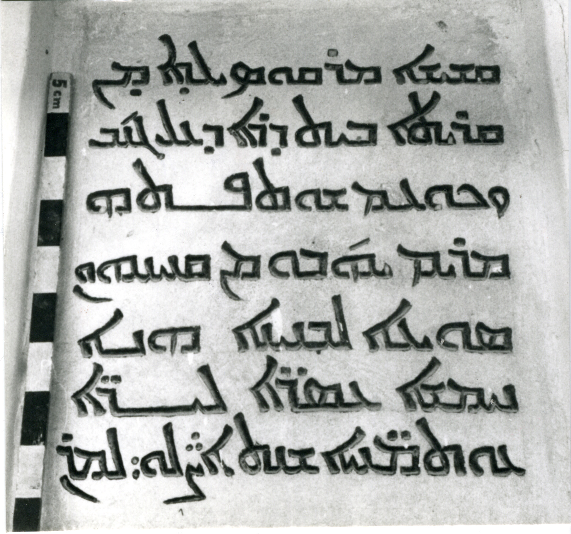 AP.02.02 image 2