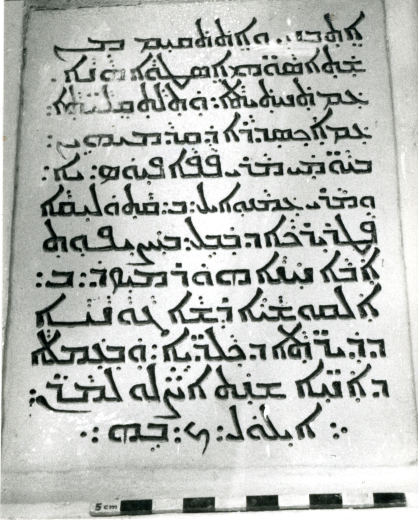 AP.02.03 image 2
