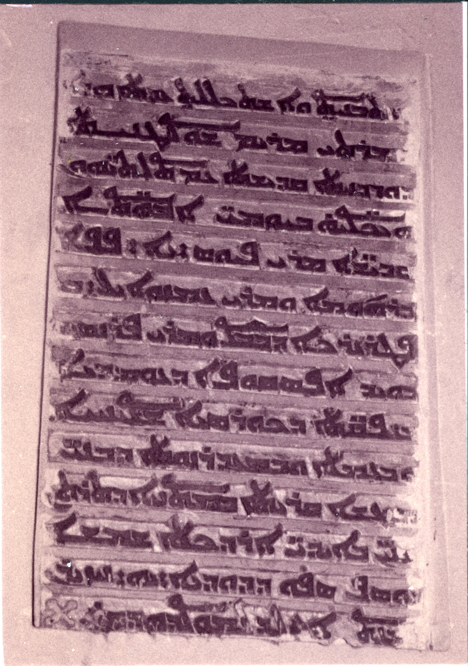 BI.01.01 image 2