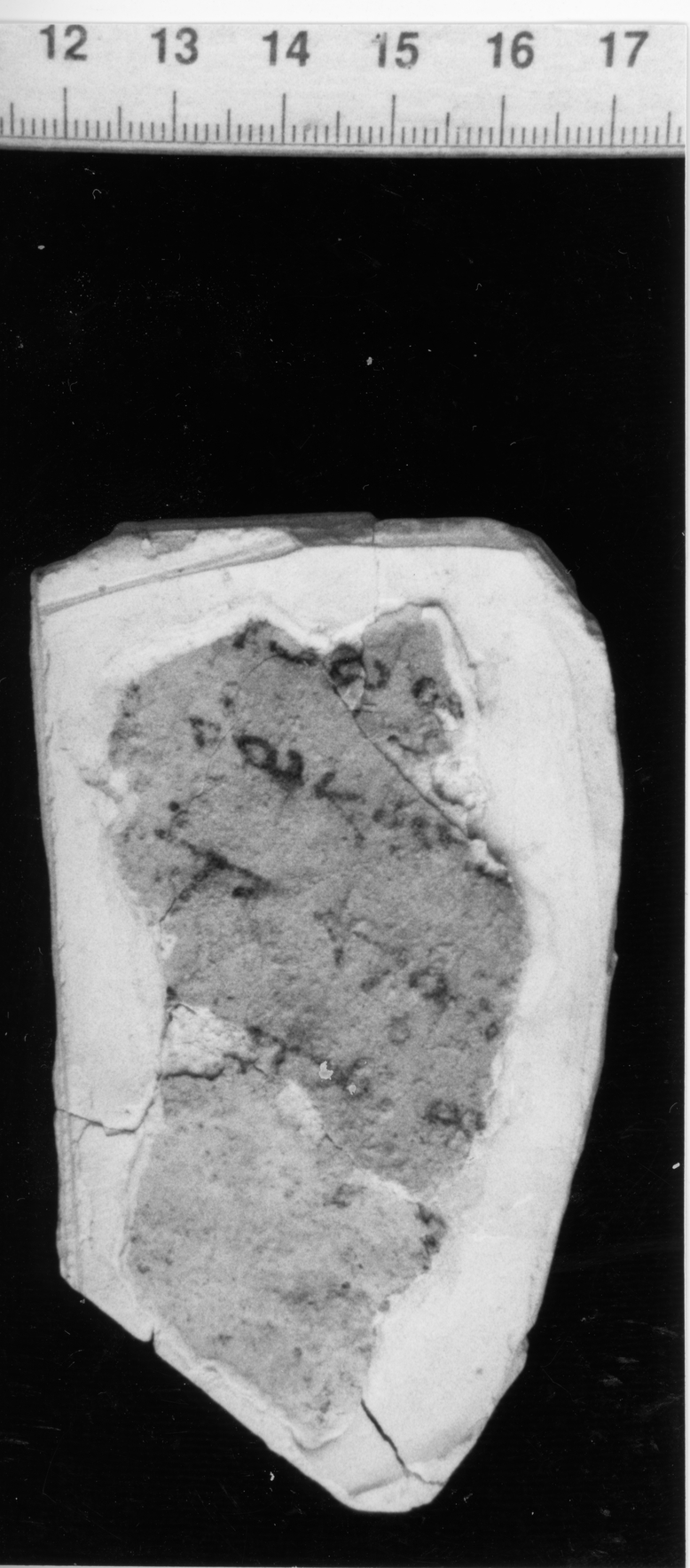FA.01.01 image 2
