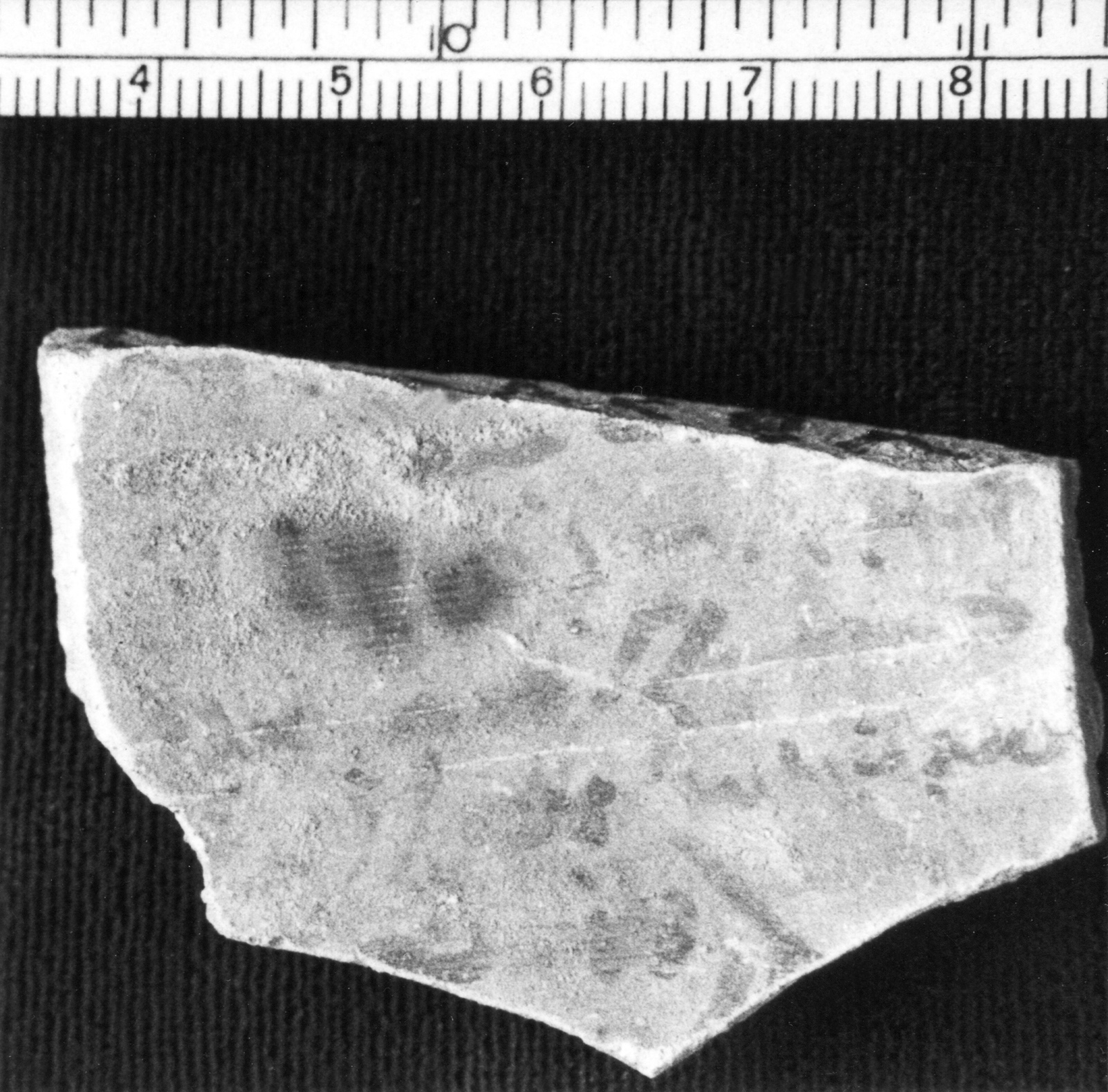 FA.01.06 image 4