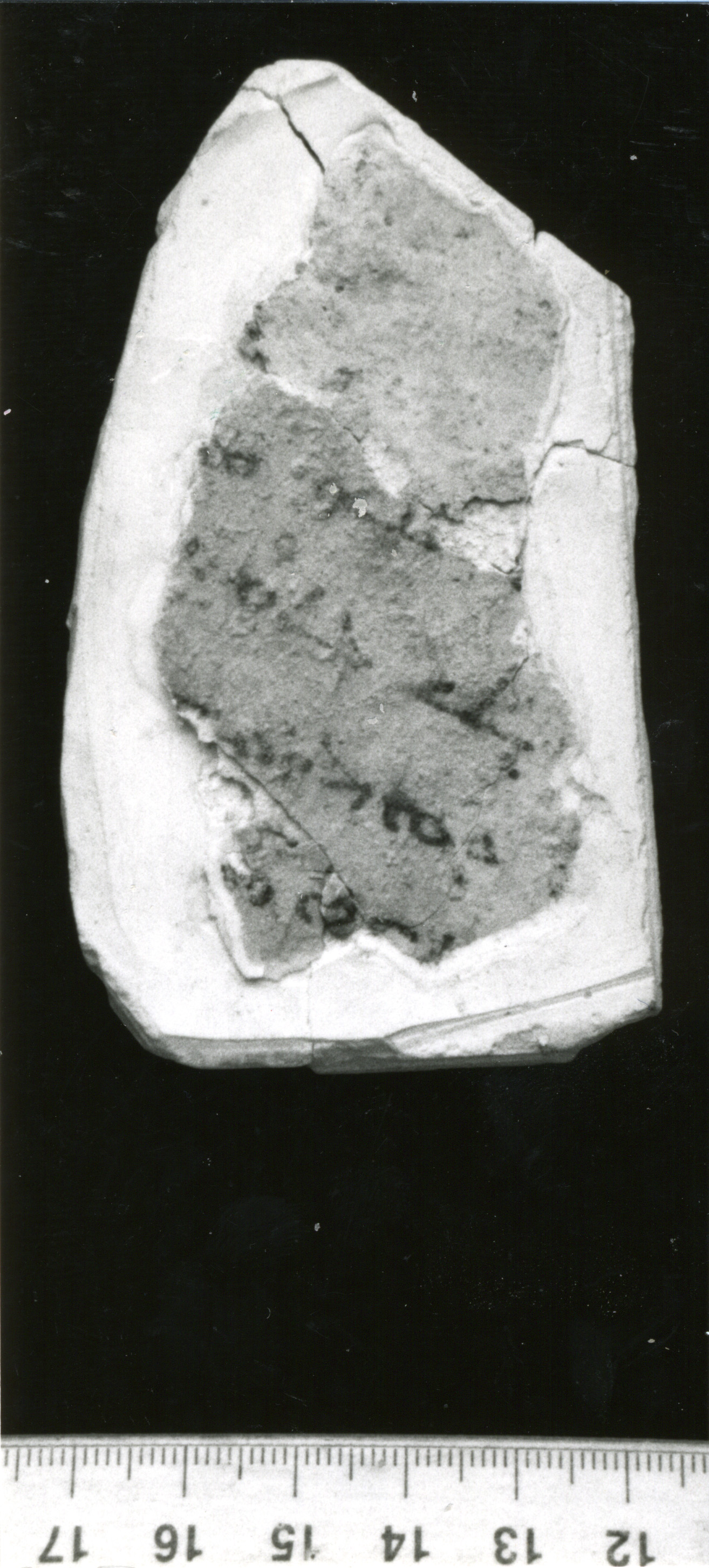 GA.01.01 image 2
